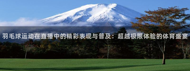 jrs乐球直播吧：羽毛球运动在直播中的精彩表现与普及：超越极限体验的体育盛宴