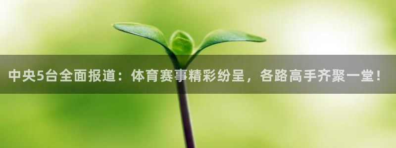 低调看jrs直播吧：中央5台全面报道：体育赛事精彩纷呈，各路高手齐聚一堂！