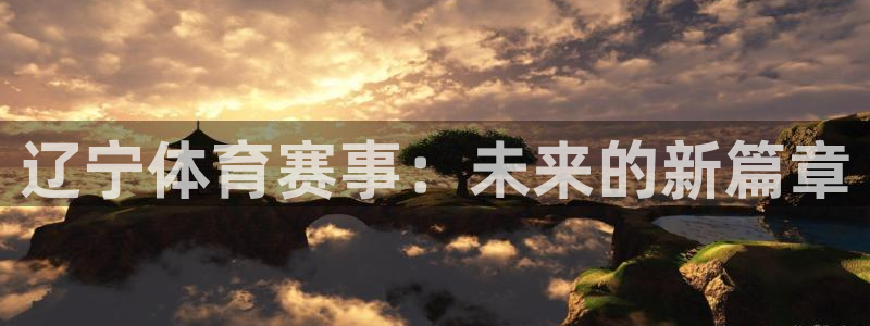 在线直播吧足球直播：辽宁体育赛事：未来的新篇章