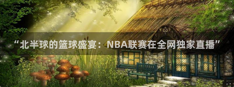 nba直播吧比赛：“北半球的篮球盛宴：NBA联赛在全网独家直播”