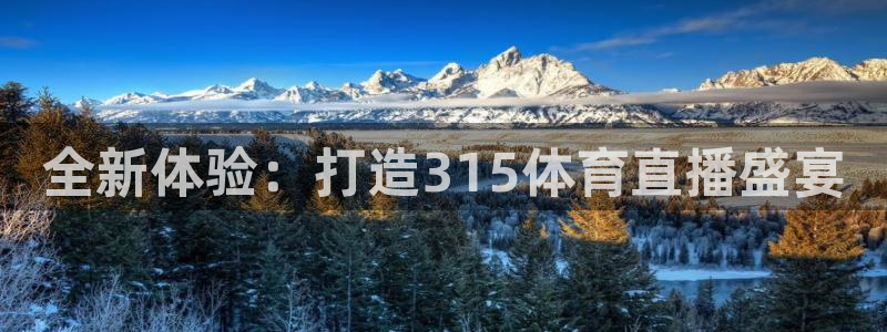 体育直播吧直播：全新体验：打造315体育直播盛宴