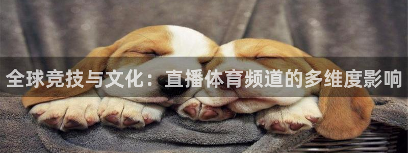 8足球直播吧：全球竞技与文化：直播体育频道的多维度影响