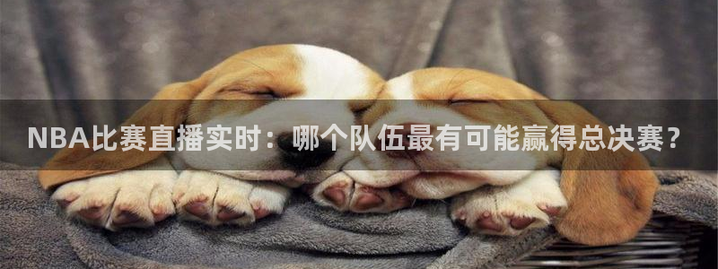 体育直播吧极速：NBA比赛直播实时：哪个队伍最有可能赢得总决赛？