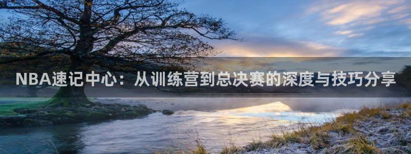 直播吧nba直播吧在线直播：NBA速记中心：从训练营到总决赛的深度与技巧分享