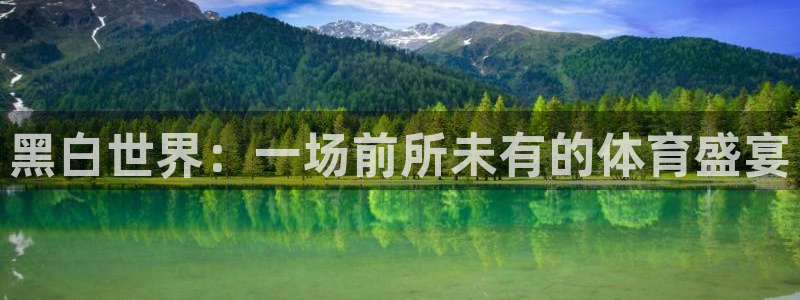 jrs直播吧回放：黑白世界：一场前所未有的体育盛宴