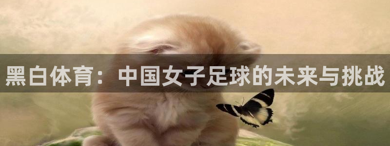 9直播吧：黑白体育：中国女子足球的未来与挑战