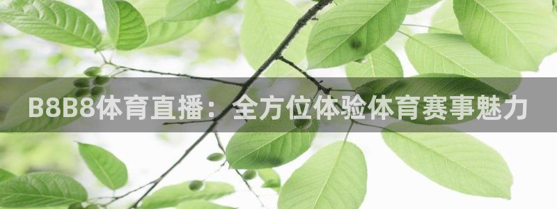 so米直播吧：B8B8体育直播：全方位体验体育赛事魅力