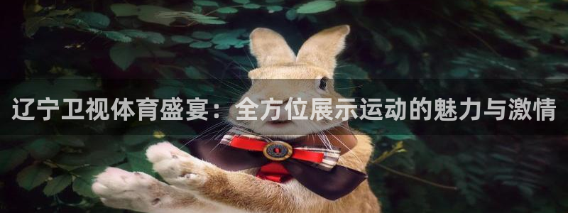 极速体育手机直播吧：辽宁卫视体育盛宴：全方位展示运动的魅力与激情