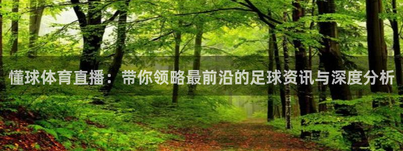 体育吧直播吧：懂球体育直播：带你领略最前沿的足球资讯与深度分析